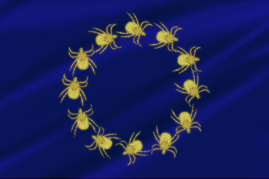 EU_mamaligade varsovia
